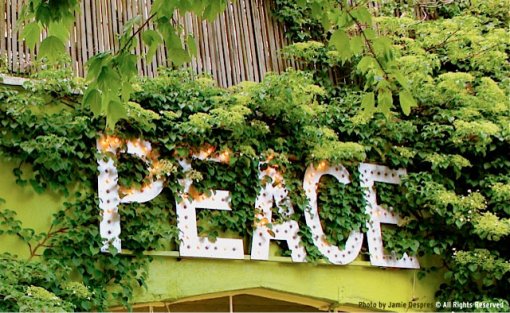 PEACE: Sign in Fremont, Seattle, WA