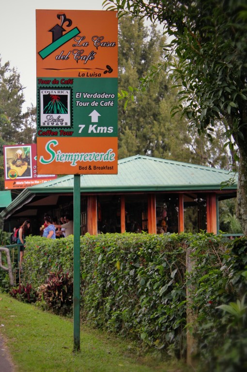 The Doka Coffee Estate: Costa Rica